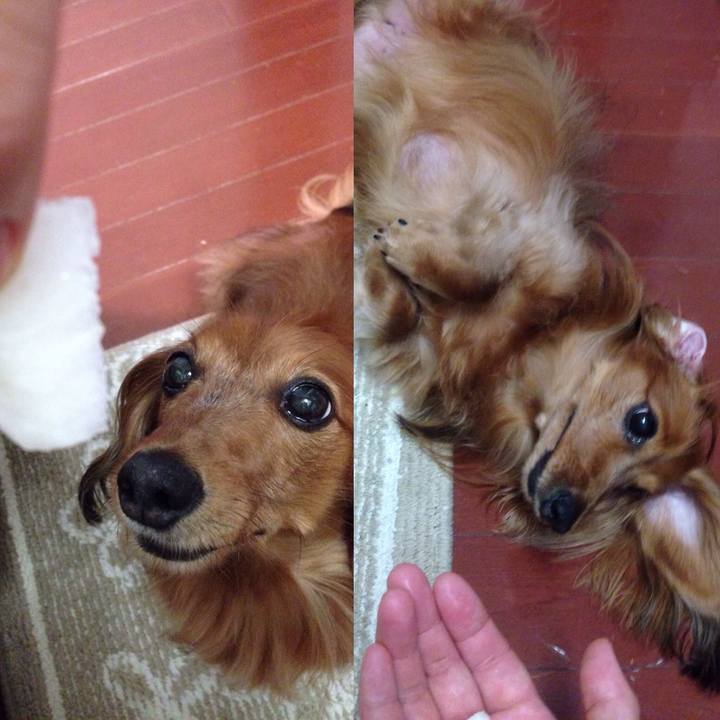 972a22c4 799f 4031 a186 3b7ced692ed0