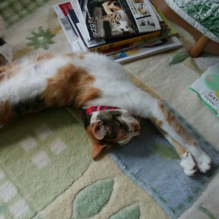 972ac7ea 3e38 431e 9cfb 737fdf1445ec