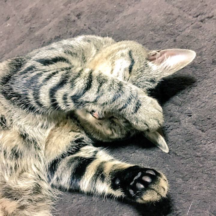 972bb69c a545 4cef 8170 a31170adb759