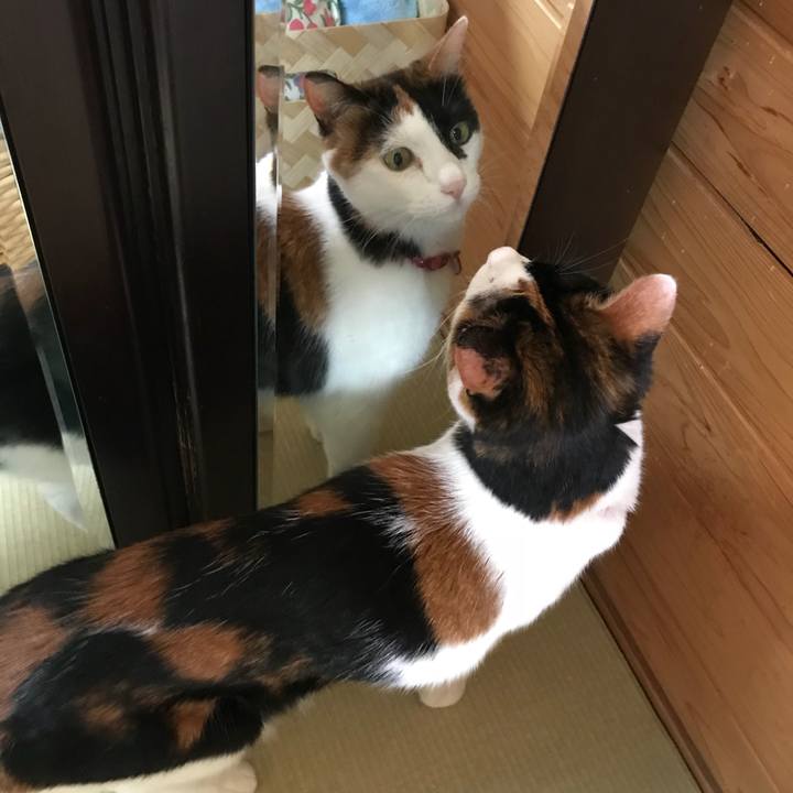 972ce575 b550 4ef7 8d41 6ca4773e6ae6