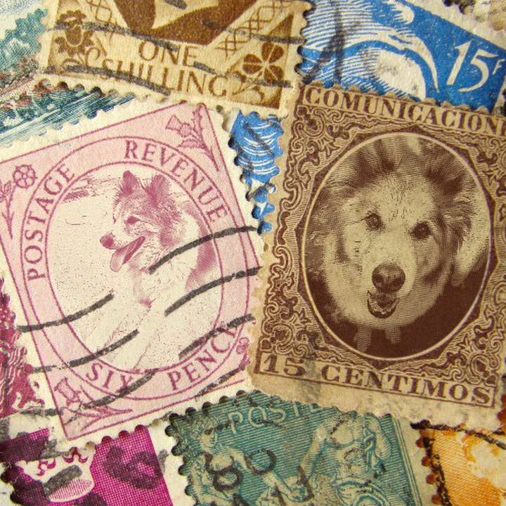 972d470c d962 4f49 8dd5 23795306329f