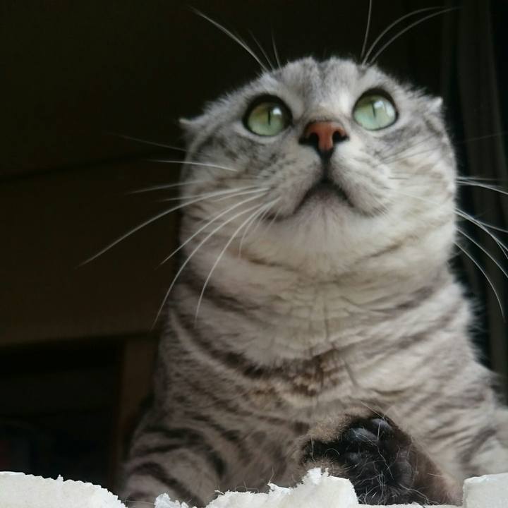 972d6257 98ff 48fb 9778 1ff85f92e684