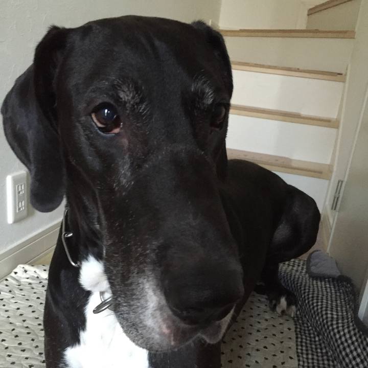 972e1cb3 384e 47c4 864c 7ea3e39aafb2