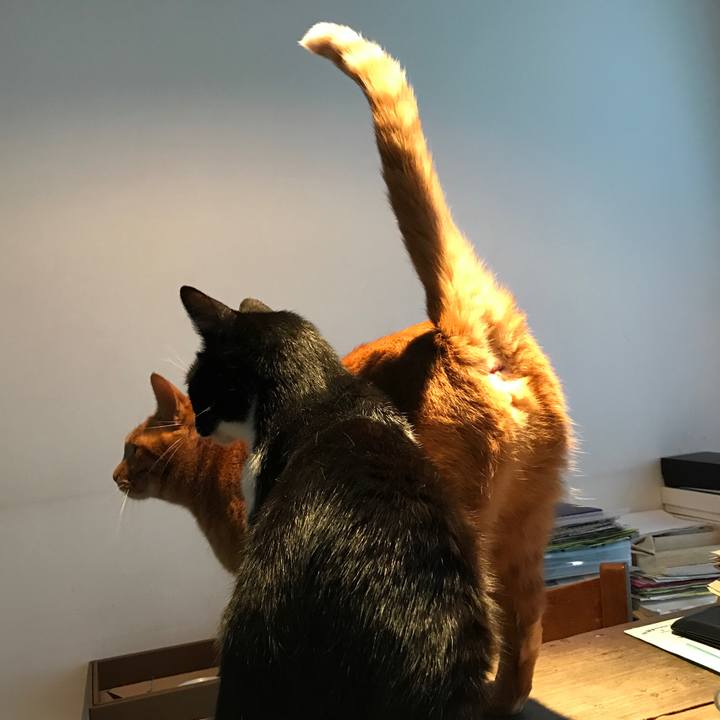 972f9ec6 927f 4197 8991 24c3e2ea04b1