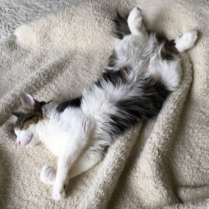 973049e2 9741 401d bc4c 5dab8a756a40