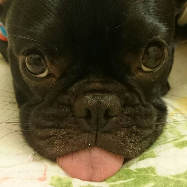 97308249 ab86 4415 9449 ff7da08ecd7b