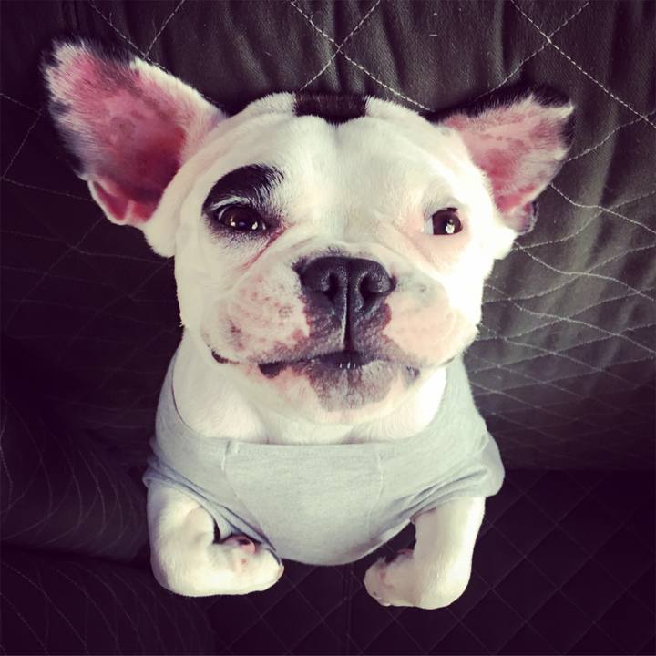 973147a0 2bd5 41c1 a4b2 9560737369b1