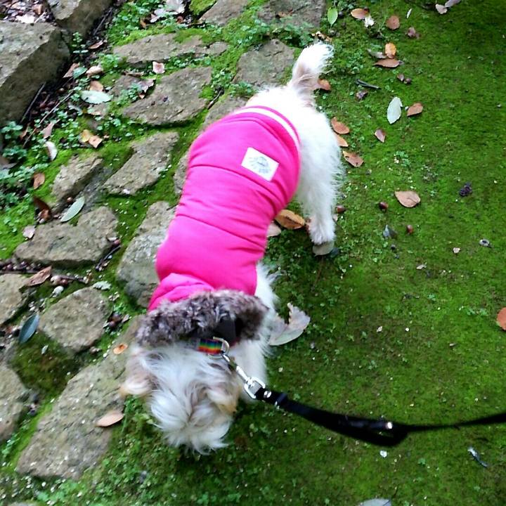 97314f2a c8ad 46cd 9d91 4cc7238ce7ec