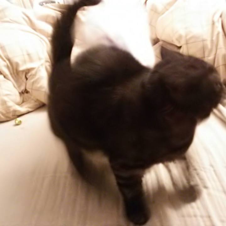 97319ad8 7a24 42a0 93ce e76a5258e1b8