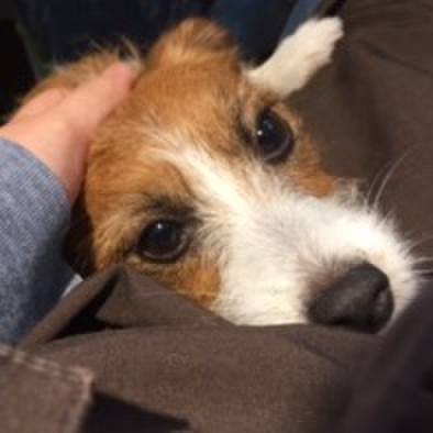 97333007 2885 4e46 9e20 50337ebeacfb