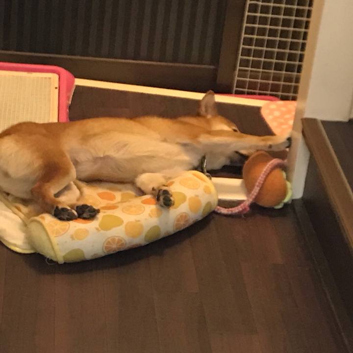 97335b16 ecd1 4d5f b337 b282d89e6315