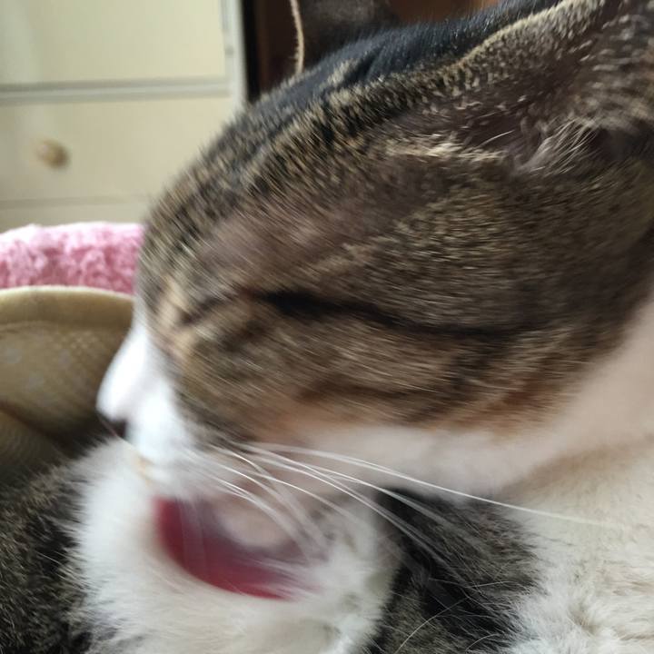 9733bb46 9fbb 4616 b69c 526642607df3