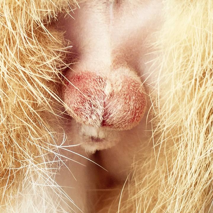 973453a9 debc 4aca 89aa b5b1f8e7d6b6