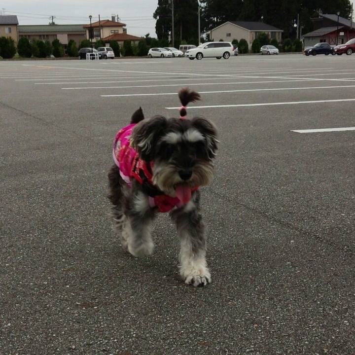 9734b682 a756 4607 ab98 9f408b40fbe7