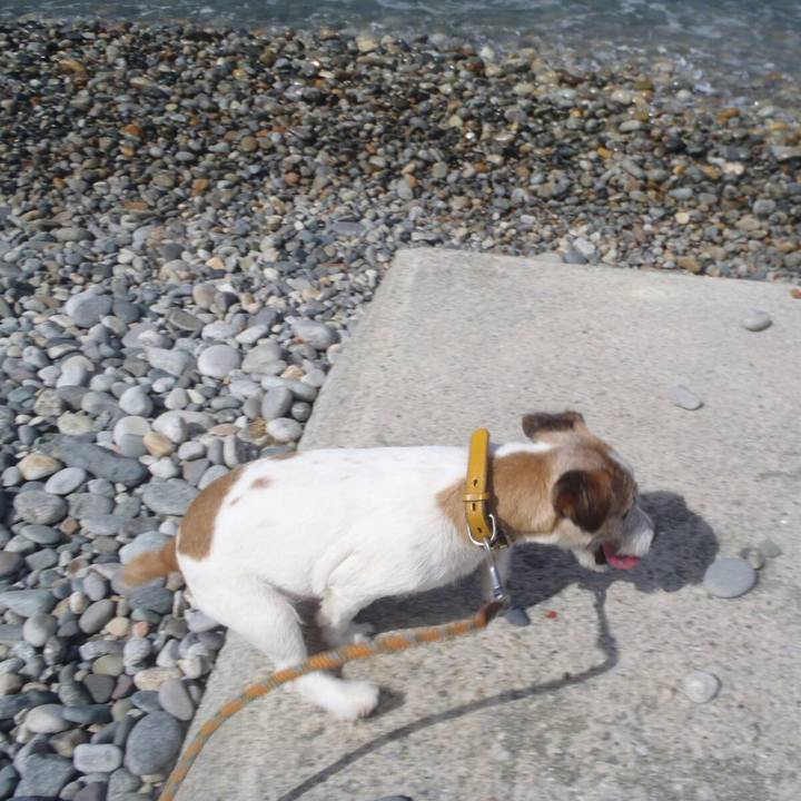 97354f9c 1786 4443 b114 32687ee6b392