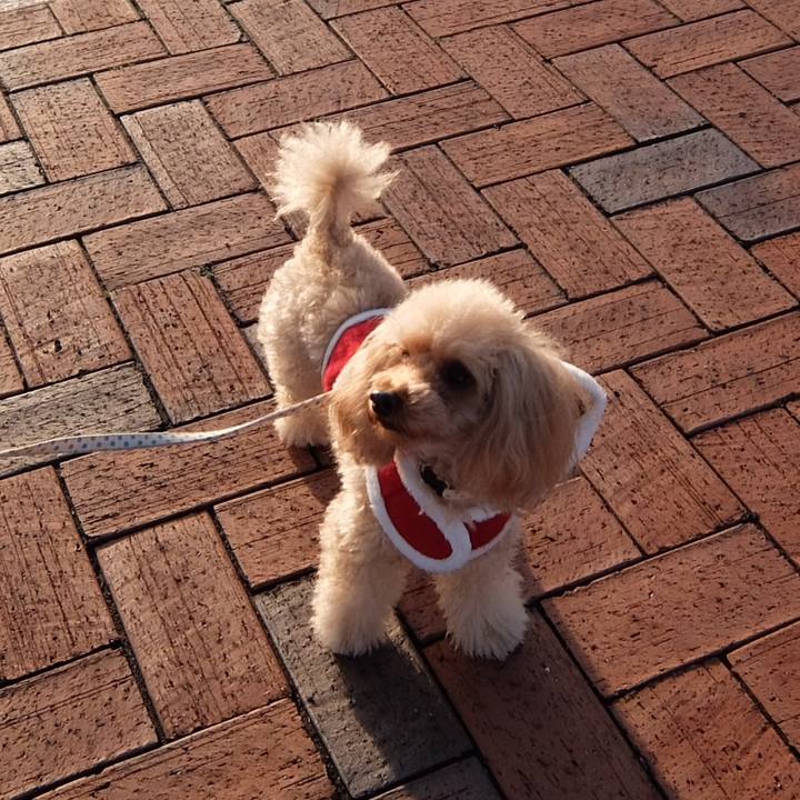 97356a18 9d90 4cce b443 3e16212373f8