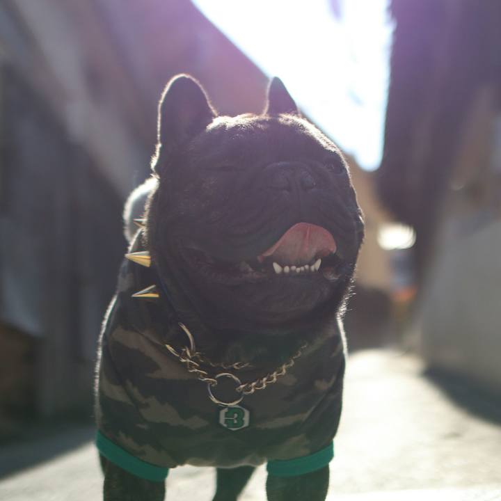 9735f10f 4af1 4832 a936 21f094e85f8a