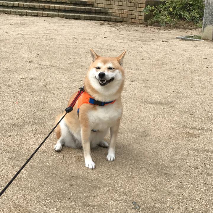 97365c8e 8530 4757 bd9b dfdaff12d3d5