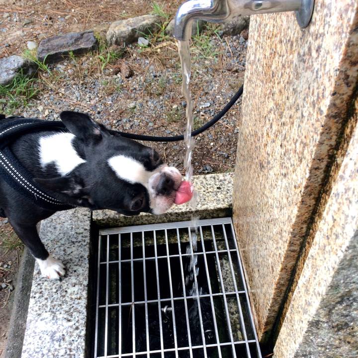 9736916d e570 4b62 97d2 0073f27eeeea