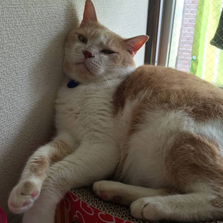 9736f072 2735 4a00 82bd f29e48f63f71