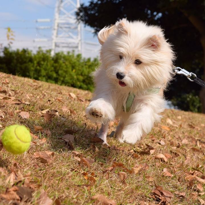 9736f99d 7f25 47b0 ac86 c9390f6e8d7f