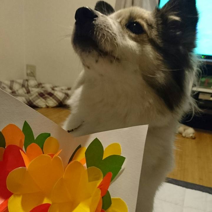 97371a4f 2f39 4e2e 9e96 617a5a75fe83