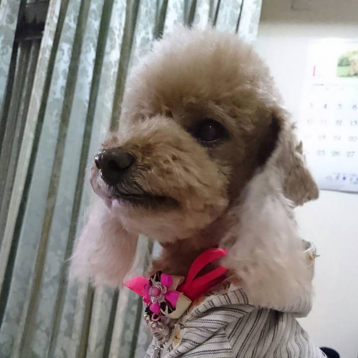 97371c4a a327 4501 9205 3a77351dd90c