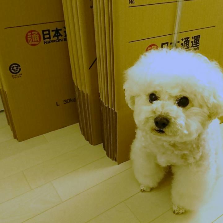 97376960 52e3 4474 afcb b080a8956d6e