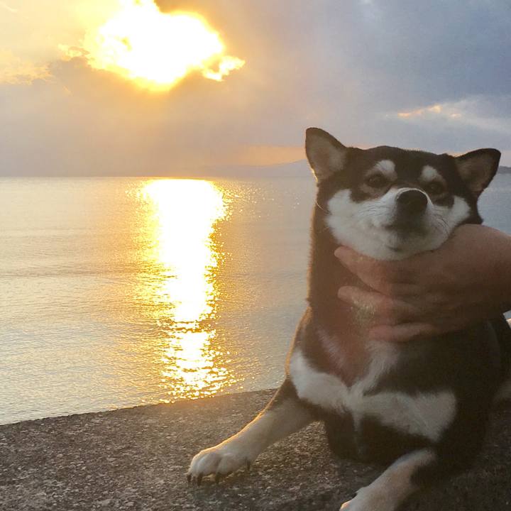 9737746b 193d 4a6b 8719 6e26affdc418