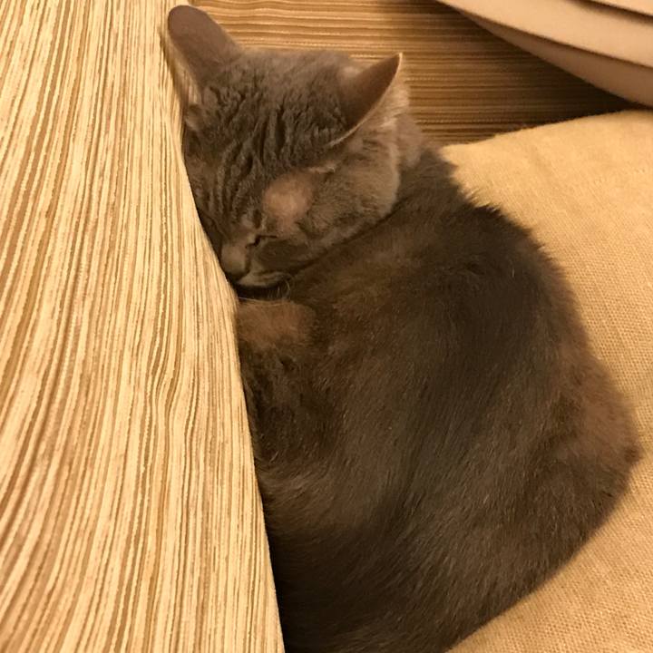 973837b4 c9e5 4950 8cbc f43dc38fbc87