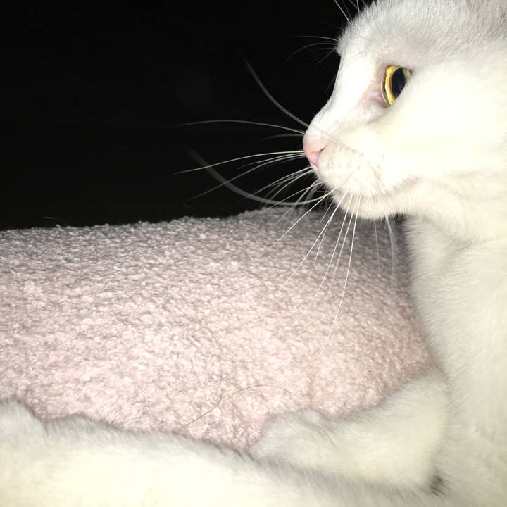 973868d4 6904 41b6 8904 b9380b05986c