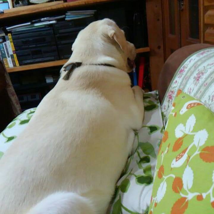 9739805e 17bf 4b65 94a8 cb9f66e0bc85