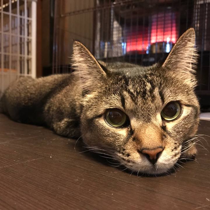 97399171 95bf 49f2 977d 0460098a3de9