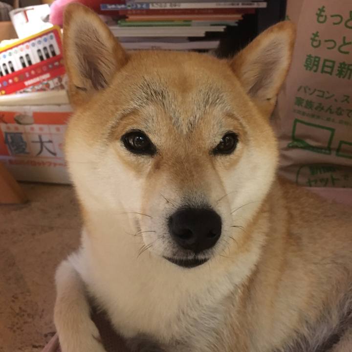 973a08e2 66f0 49bf 8eb1 53cc51e42a55