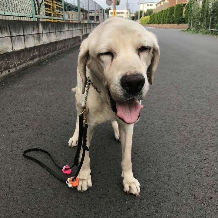 973a0958 0dd4 4fac 8d78 a8c4e9525e5a