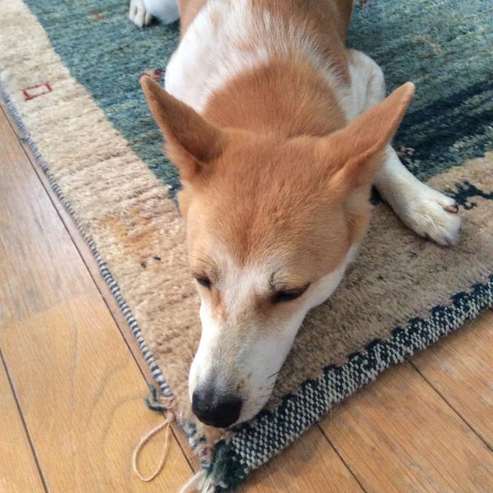 973a193f 7772 46de 935d 9c2d65b72ec2