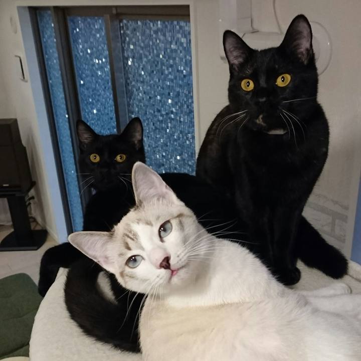 973a3e9a 4e99 4faa 9c1f 66d993163e5c