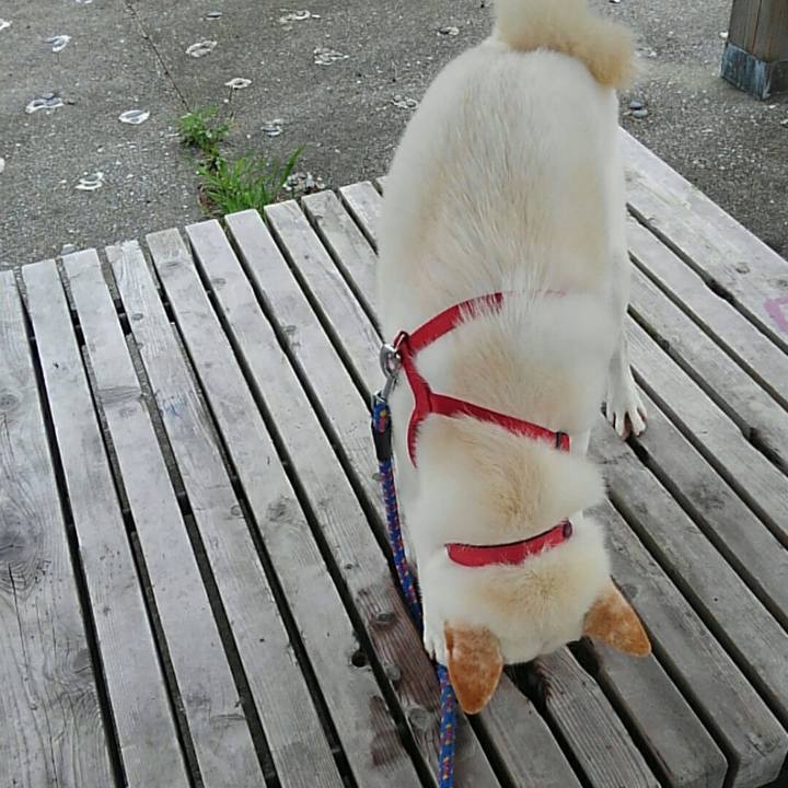 973a830d d450 4647 988f d3ef670272cb