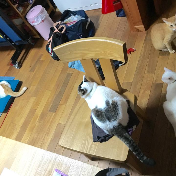 973a8d3e 0eaa 4835 a5d1 1b97a5babe70