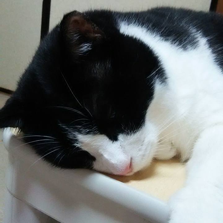 973b649a d60c 4757 9487 c444493970af