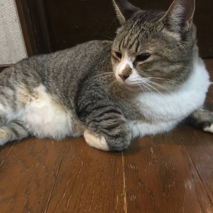 973b828e d301 4a6a a29b 8a3e338e6584