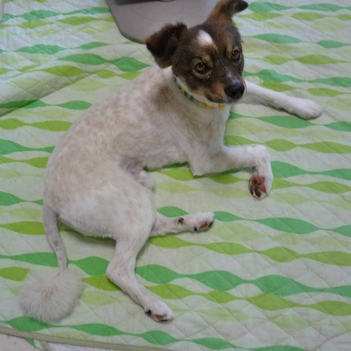 973b87e4 6e6c 48cc 97de 2f0f60ac6982