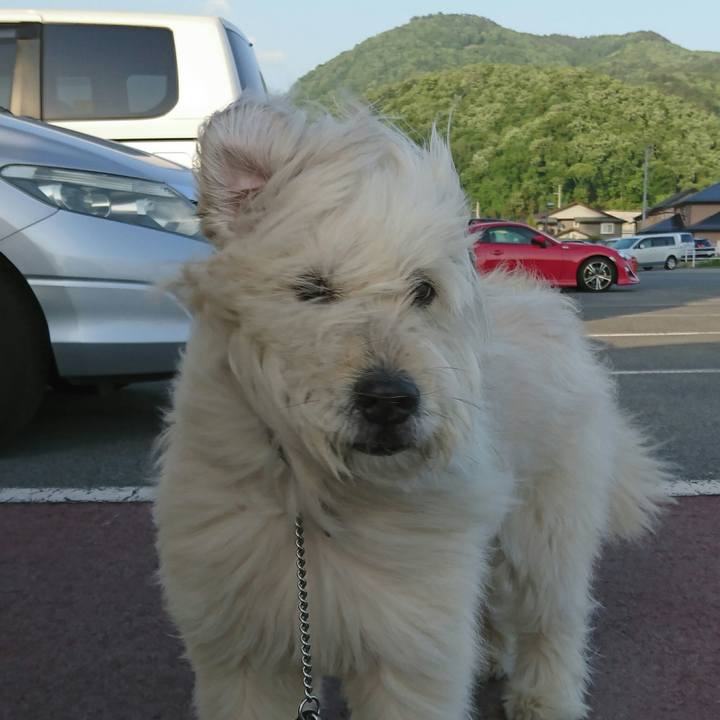 973b9a45 b74e 44f7 a9f0 397f8f2157f6