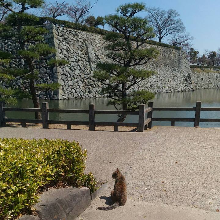 973bd19b 63d9 4b32 a690 88951ceedf00