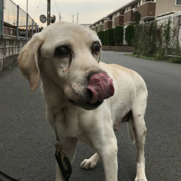 973bfd64 ae74 414a aedf 76884bc49cc1