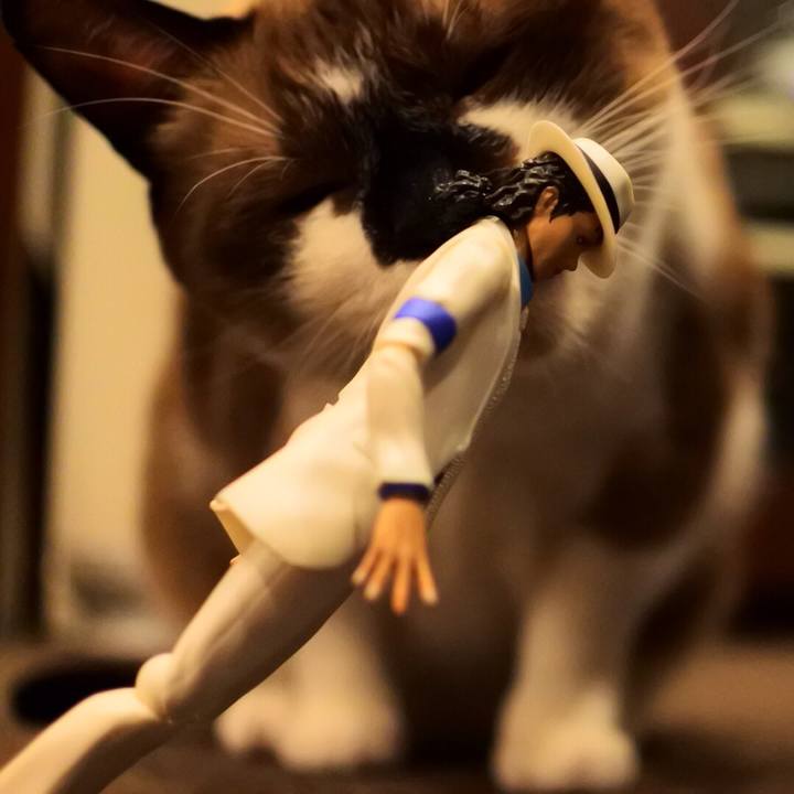 973c04fc 0ef1 4742 a9bd a1fa023af6fa