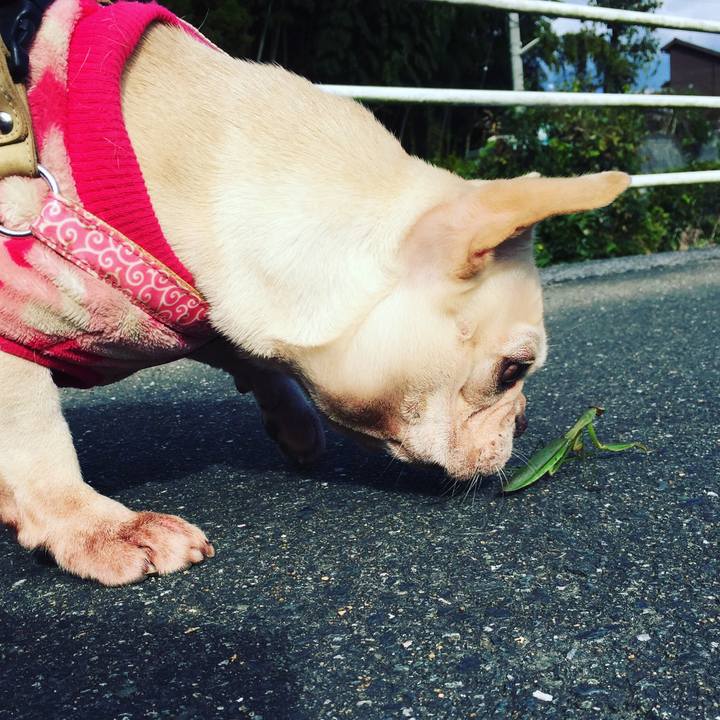 973ca5f8 cf77 4abf 9665 8ad7b1f699c3