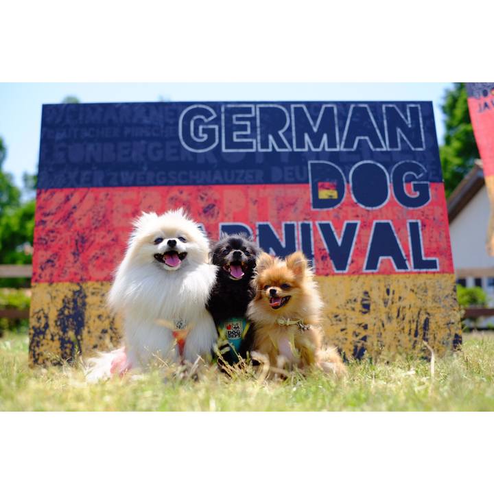 973cb128 6f3a 495e 8e7f c77ae94818fb