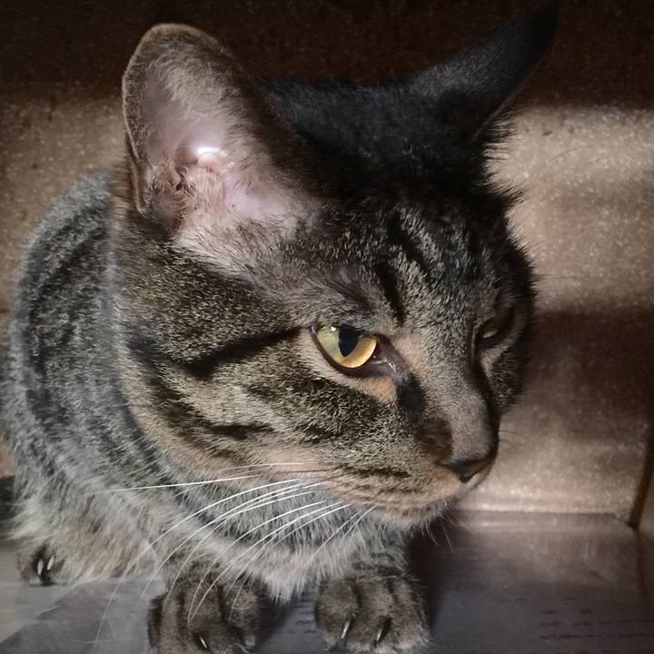 973d2ac5 263b 449a 95da 233c6cd27f22