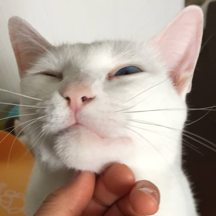 973d540b efaf 452a 94bf ab10472bbdb9